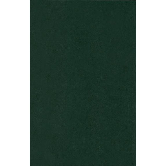 Readers' Guides to Essential Criticism Charlotte Bronte - Jane Eyre, Book 31, (Hardcover)