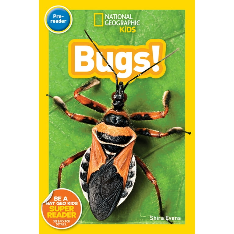 Readers: National Geographic Kids Readers: Bugs (Prereader) (Paperback)