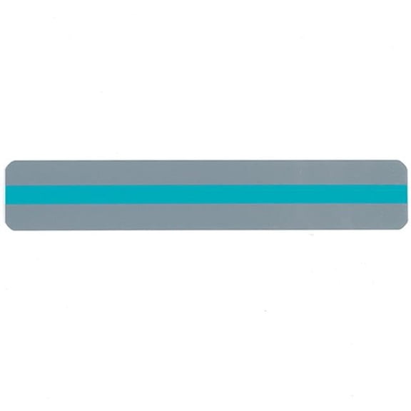 Reading Guide Strips, Blue - 24 Each