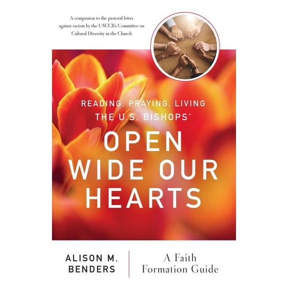 Reading, Praying, Living The US Bishops' Open Wide Our Hearts : A Faith Formation Guide (Paperback)