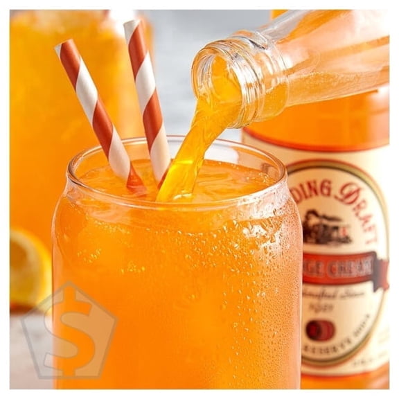 Reading Soda Works Orange Cream 12 fl. oz. - 12/Case
