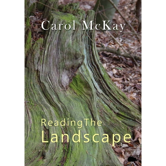 Reading The Landscape, (Paperback)