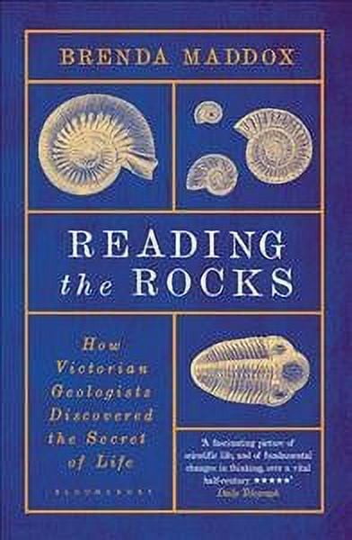 Reading The Rocks - Walmart.com
