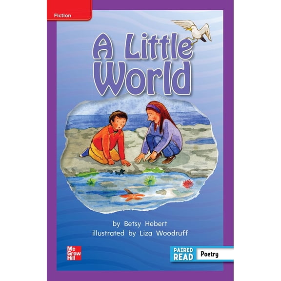 Pre-Owned Reading Wonders Leveled Reader a Little World: Ell Unit 4 Week 5 Grade 2 (Spiral-bound) 0021189528 9780021189526