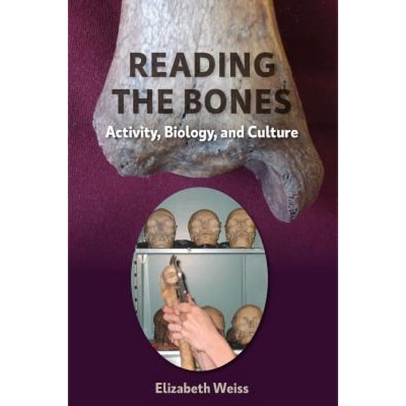 Pre-Owned Reading the Bones: Activity, Biology, and Culture ( Hardcover 9780813054988) by Elizabeth Weiss