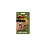 Ready America Quake Hold Anchoring Putty - Pack of 3