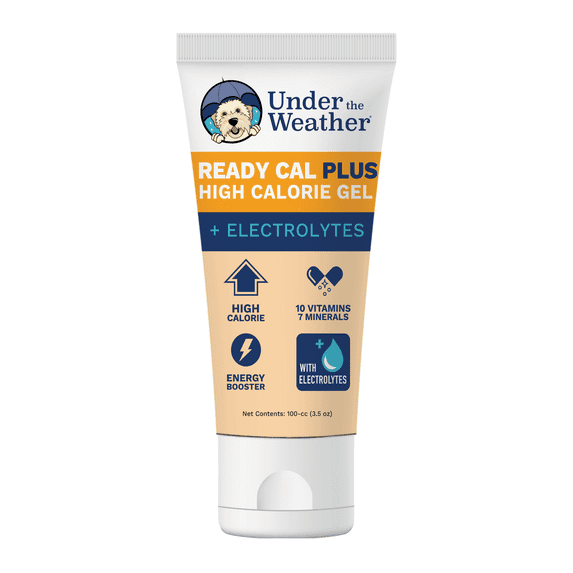 Ready Cal PLUS Electrolytes for Dogs