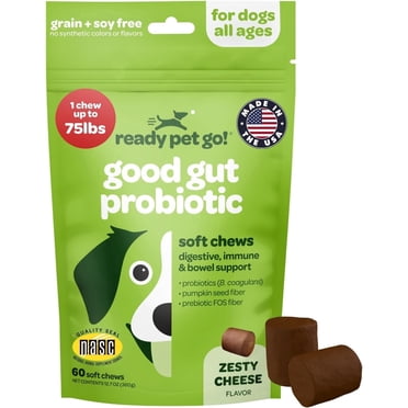 Ready Pet Go! Probiotic Dog Chews for Digestive & Gut Health with Pumpkin Seed, Zesty Cheese, 60 Pc