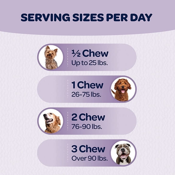 Ready Pet Go! Chews for Dogs | 90 Count