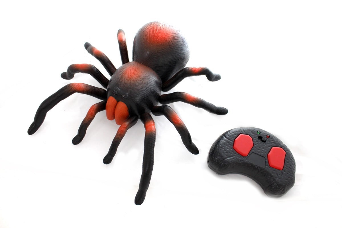 Rc spider sales with camera