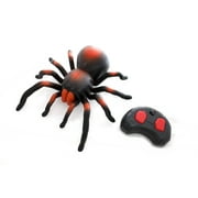 Ready! Set! Race! RC Infrared Spider