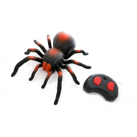 Ready! Set! Race! RC Infrared Spider