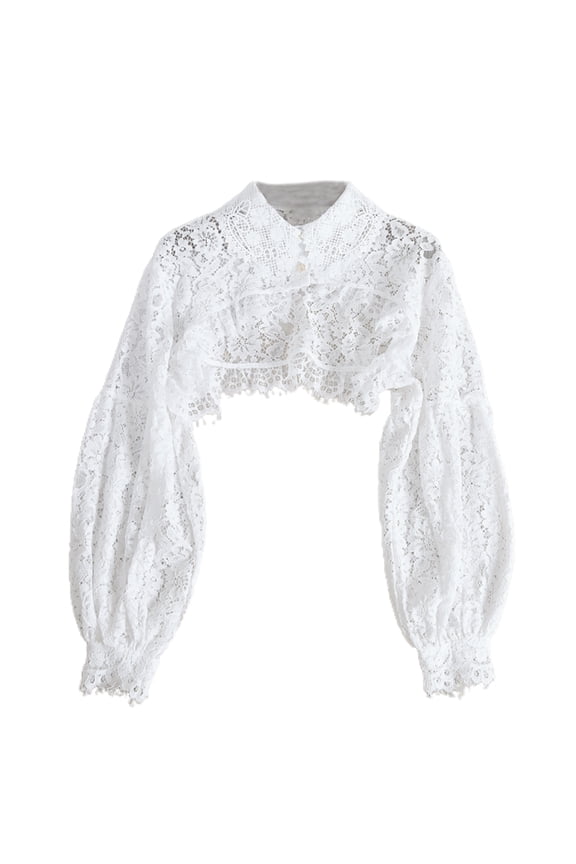 Women Puff Long Sleeve Lapel Half Top Blouse Hollow Out Eyelash Floral Lace Detachable False Fake Collar Dickey Sweater Decorative Clothing Necklace