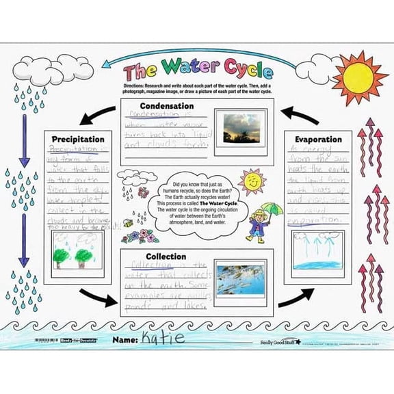 Ready-To-Decorate The Water Cycle Posters - 24 posters