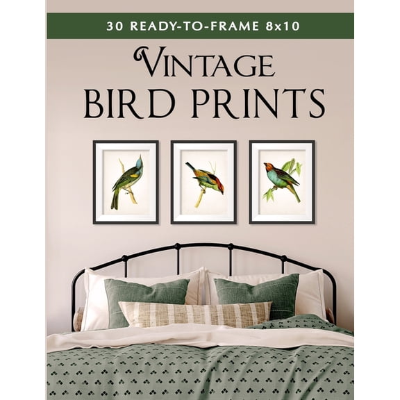 Ready-To-Frame Art: 30 Ready-to-Frame 8x10 Vintage Bird Prints (Paperback)