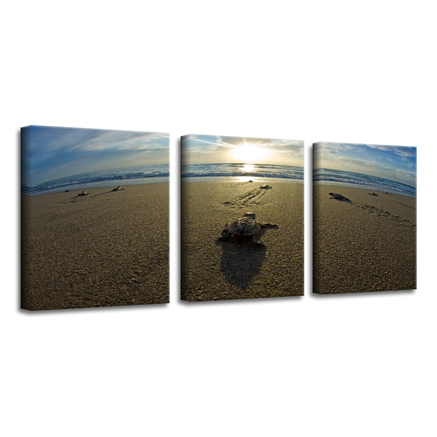 Large Coastal Canvas Art Print Set with Sea Turtles