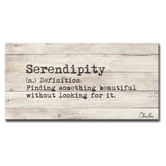 Ready2HangArt Define Serendipity Inspirational Canvas Wall Art by Olivia Rose