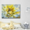 thumbnail image 1 of Ready2HangArt  'Painted Petals XXXVII' Canvas Wall Art 20" W x 16" H, 1 of 5