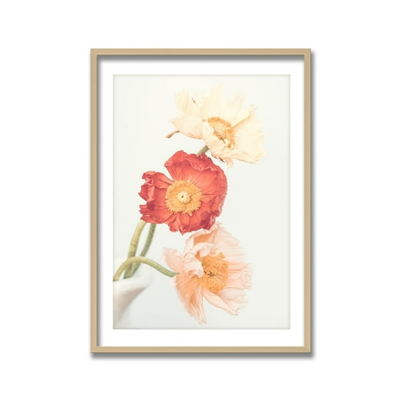 Ready2HangArt "Poppies" Framed Print Wall Art by Kathrin Pienaar 32 x 48