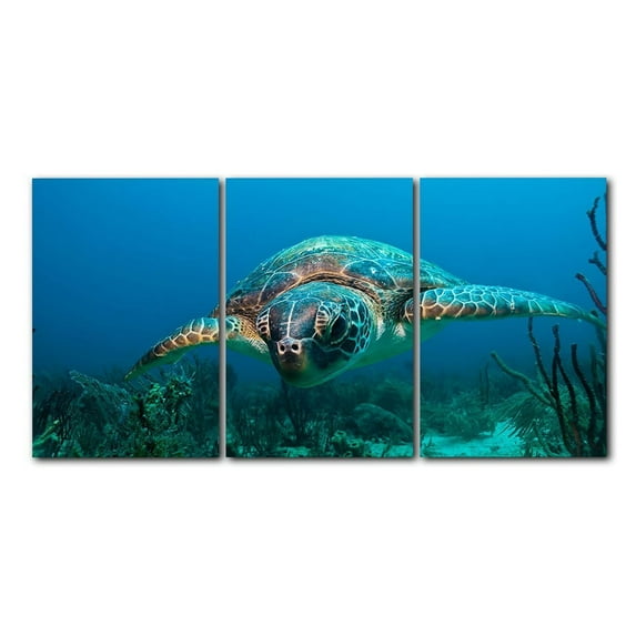 Ready2HangArt 'Turtle' 3-Piece Wrapped Canvas Wall Art Set