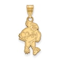 thumbnail image 1 of Real 10kt Yellow Goldy LogoArt Iowa State University Large Pendant; for Adults and Teens; for Women and Men, 1 of 2