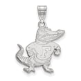 thumbnail image 1 of Real 10ktw LogoArt University of Florida Large Pendant; for Adults and Teens; for Women and Men, 1 of 2