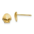 thumbnail image 1 of Real 14kt Yellow Gold Mini Scallop Shell Post Earrings; for Adults and Teens; for Women and Men, 1 of 3