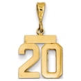 thumbnail image 1 of Real 14kt Yellow Gold Polished Small Number 20 Charm Pendant; for Adults and Teens; for Women and Men, 1 of 1