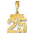 thumbnail image 1 of Real 14kt Yellow Gold Small Diamond-cut Number 25 Charm Pendant; for Adults and Teens; for Women and Men, 1 of 1
