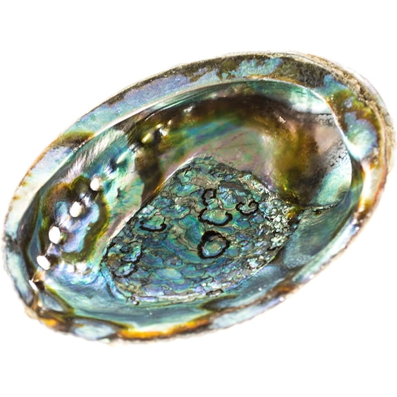 Real Abalone Shell Smudge Bowl