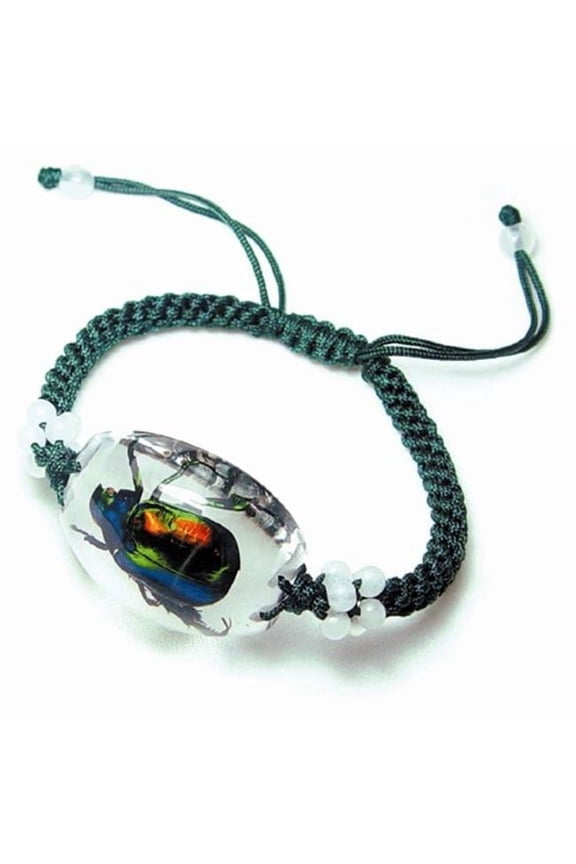 Real Bug Bracelet-Chafer Beetle