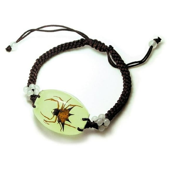 Real Bug Bracelet-Spiny Spider