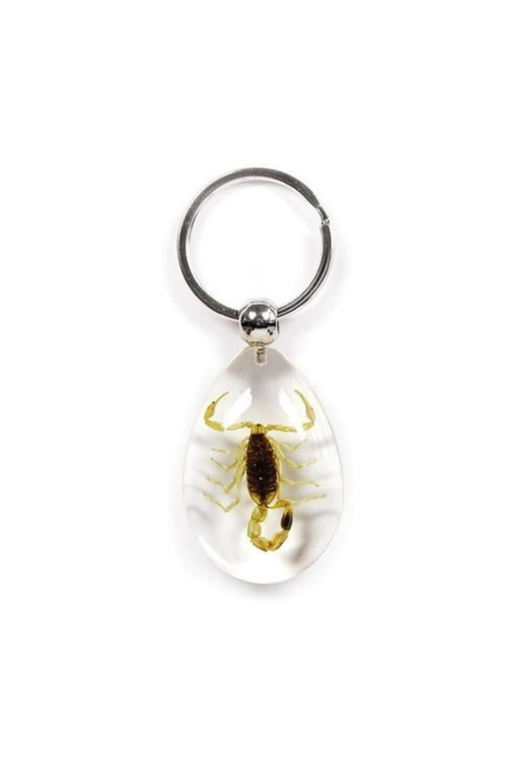 Real Bug Key Chain-Tear Drop Shape-Clear-Gold Scorpion