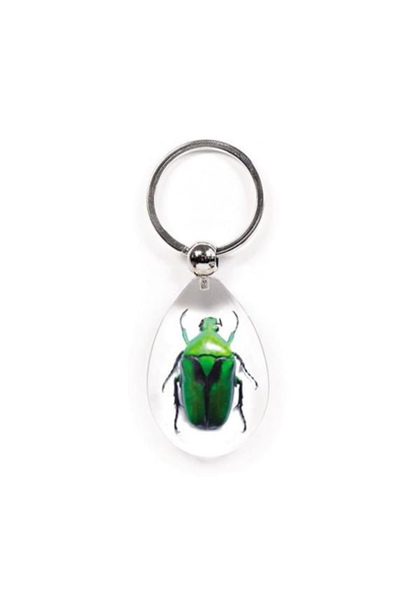 Real Bug Key Chain-Tear Drop Shape-Clear-Green Chafer Beetle
