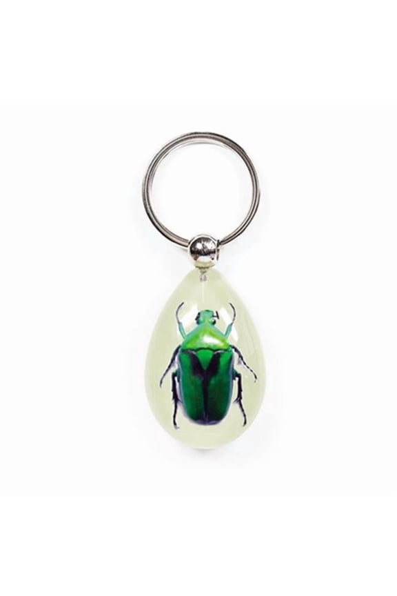 Real Bug Key Chain-Tear Drop Shape-Glow in the Dark-Green Chafer Beetle