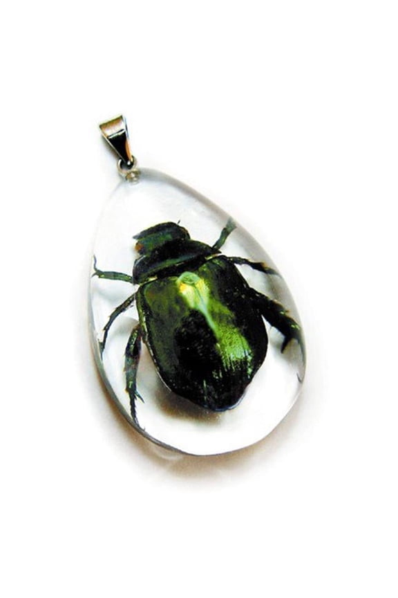 Real Bug Necklace-Chafer Beetle
