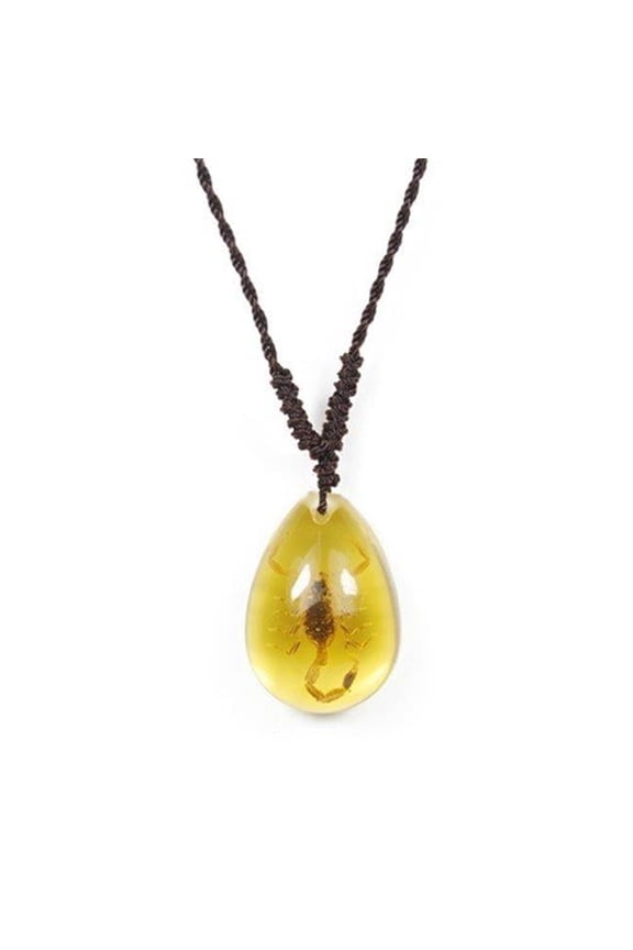 Real Bug Necklace-Scorpion-Small-Water Drop Shape-Amber-