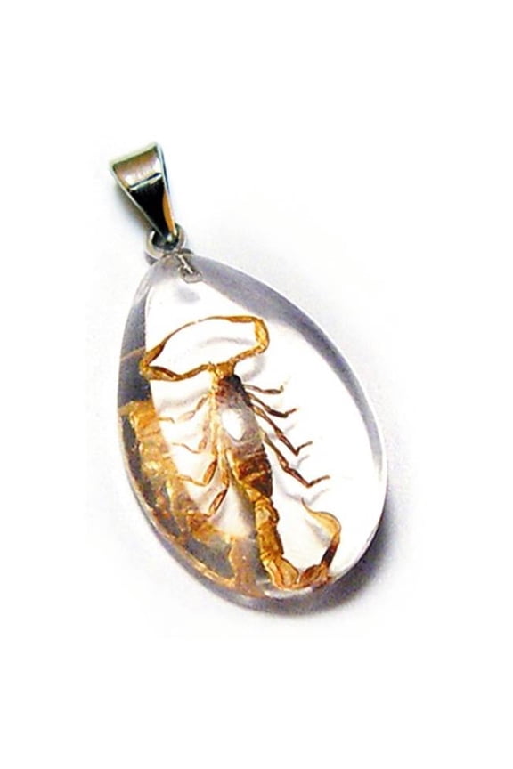 Real Bug Necklace-Scorpion