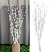 Real Dried Birch Twigs,Bexikou 30 Pcs Natural Decorative Birch Branches for Vases, Centerpieces & DIY Crafts,19.7inch Birch Sticks for Wedding Arrangements Home Wreath Decor