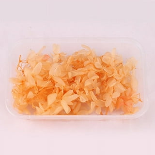 Real Dried Flower For Aromatherapy Candle DIY Epoxy Resin Craft Dried Plants
