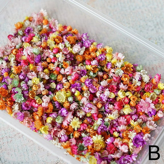 Real Dried Flower For DIY Art Craft Epoxy Resin Candle Making Jewelry Glass 2022 B5N1
