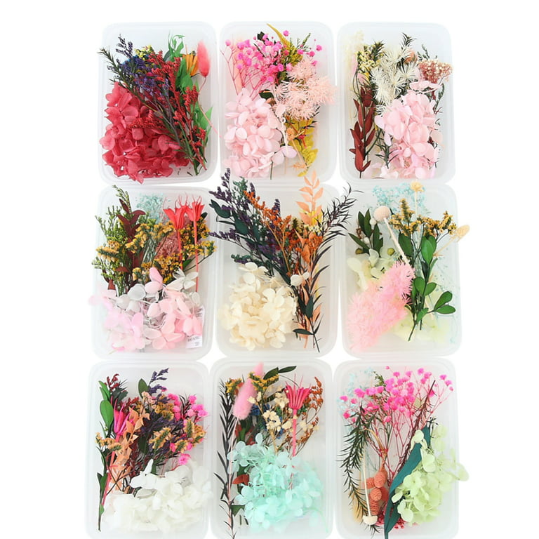 Dried Flowers for Resin Natural Dried Pressed Flowers for DIY