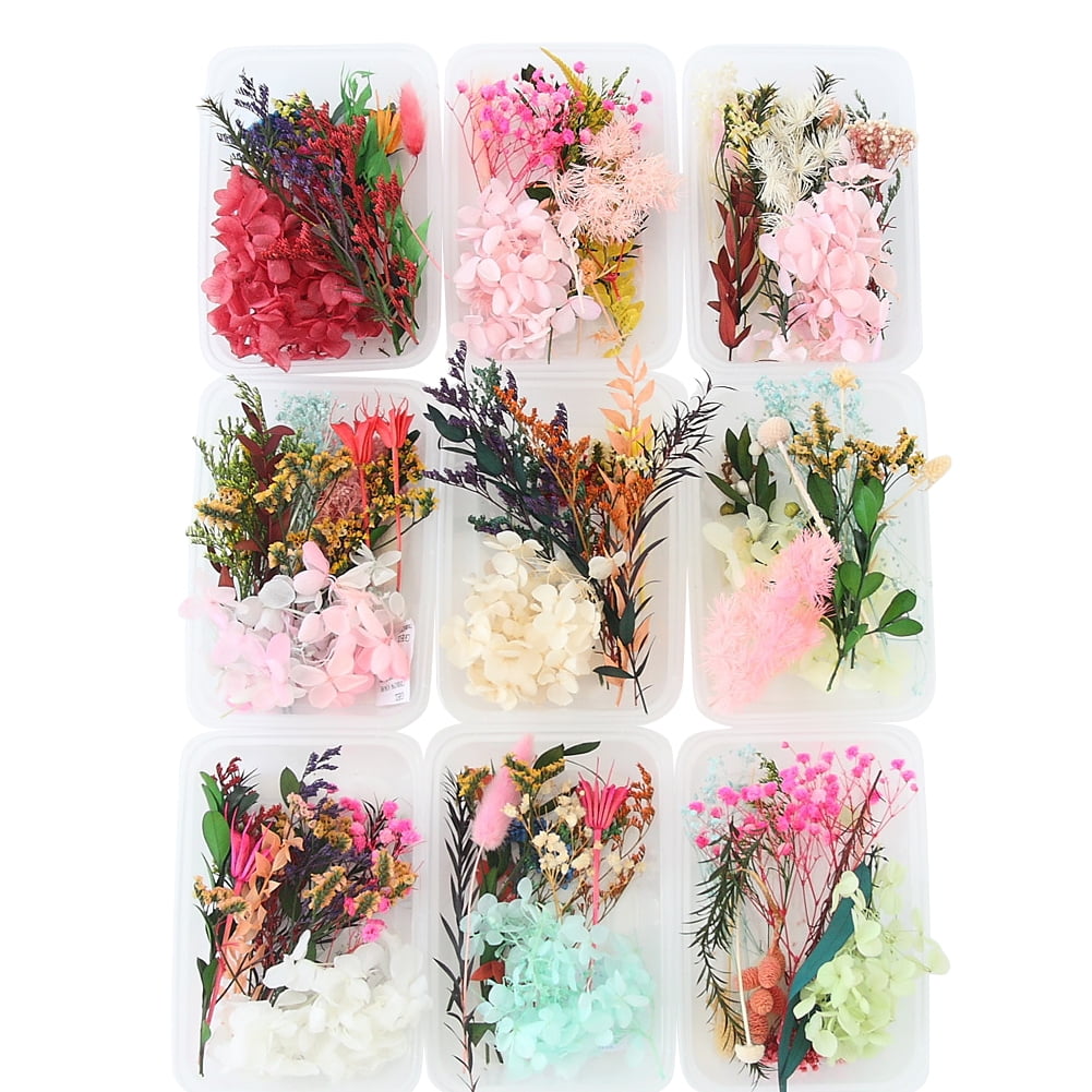 Dried Flowers for Resin 2 Box Mixed Multiple Assorted Real Flowers Dried  Flowers for Candles Jewelry Crafts Scrapbooking Decoration Craft Flowers