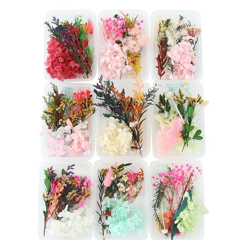Real Dried Flowers Leaves Set for Diy Crafts Art Mixed Multiple Dry Flower  for Candle Resin Jewelry Pendant Random