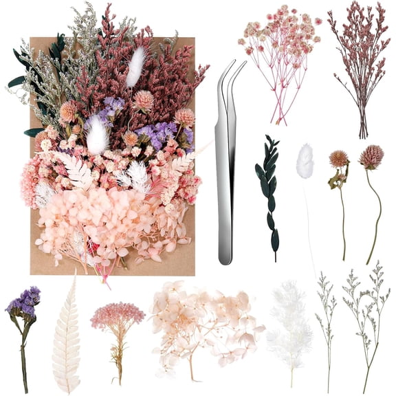 Real Dried Flowers, Natural Dry Flowers Mixed Pressed Flores Secas Florals for Crafts,Resin,Candle Making (Multicolor 2)