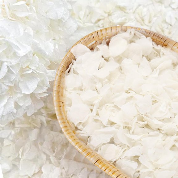 Real Dried Ivory White Hydrangea Flower Petals 1500pcs 1.06oz Natural Wedding Decor