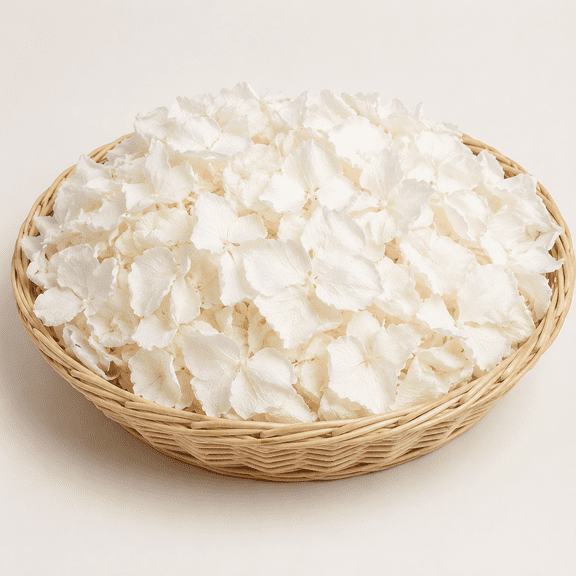 Real Dried Ivory White Hydrangea Flower Petals for Outdoor Wedding