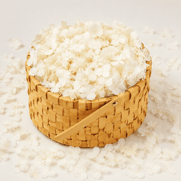Real Dried Ivory White Hydrangea Petals Flower Petals for Wedding