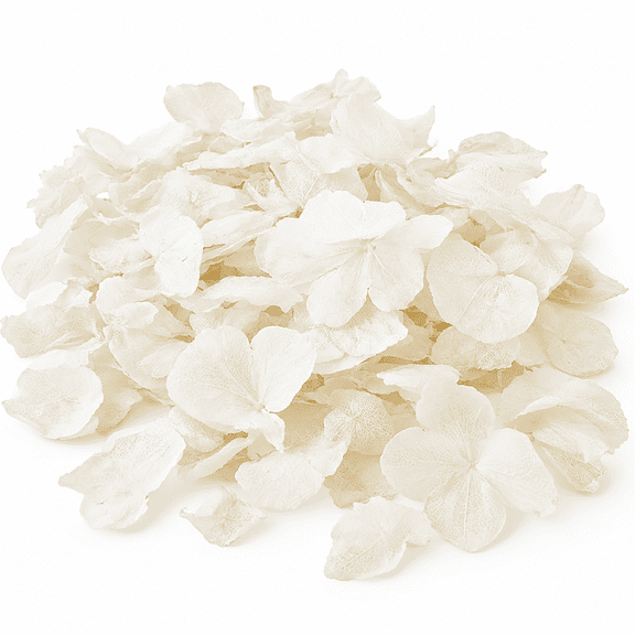 Real Dried Ivory White Hydrangea Petals for Wedding Showers