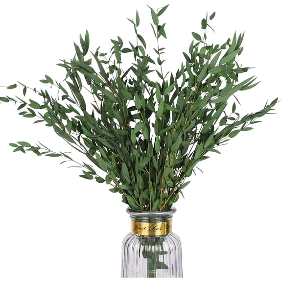 Real Euc Stems Greenery Decor 20PCS 17" Dried Willow Plant Preserved for Home Vase Filler Wedding Flowers Arrangement Spring Decorations